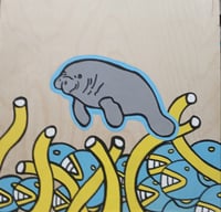 Manatee 