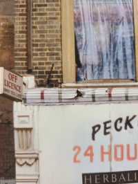 Image 4 of 'Peckham & District Herbalist Controlled English Lessons'