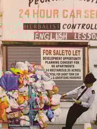 Image 5 of 'Peckham & District Herbalist Controlled English Lessons'