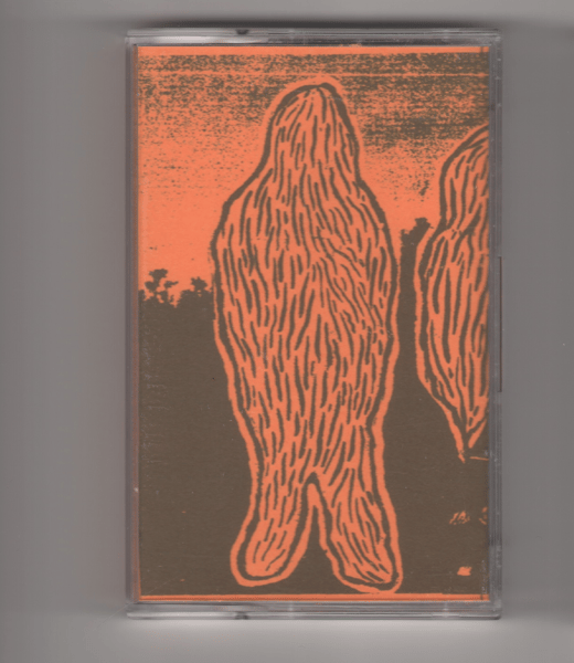 Image of Zach Rowden / Dan Michiu - They hover but don't touch (2023, MC, Beach Buddies) 