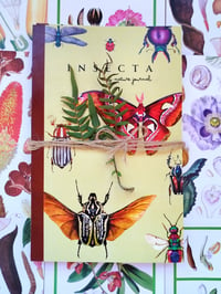 Image 2 of Insecta Journal 