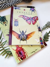 Image 4 of Insecta Journal 