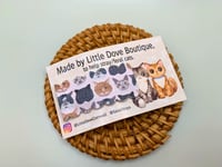 Image 2 of Cornwall Stray Cats Snap Clip