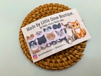 Image 1 of Cornwall Stray Cats Snap Clip