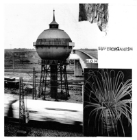 HÖH "Superorganism" CD Jewel Case (Freak Animal)