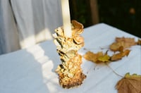 Image 3 of fae feast candle holder