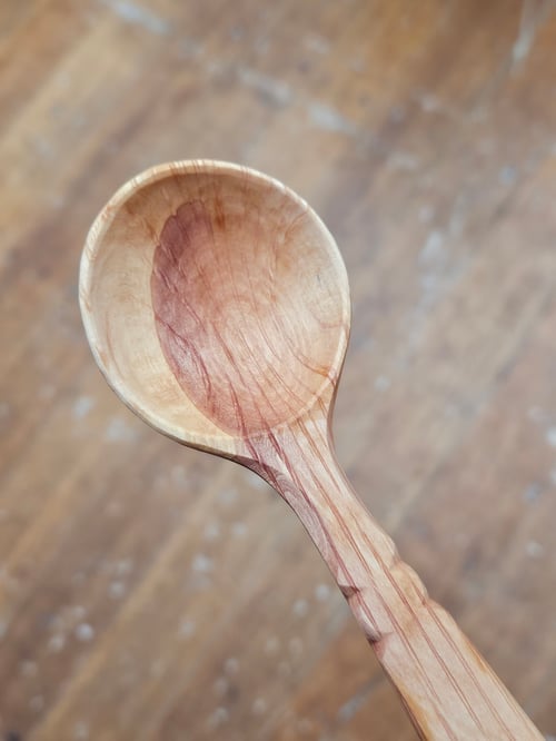 Image of She-oak Ladybeetle Scoop 