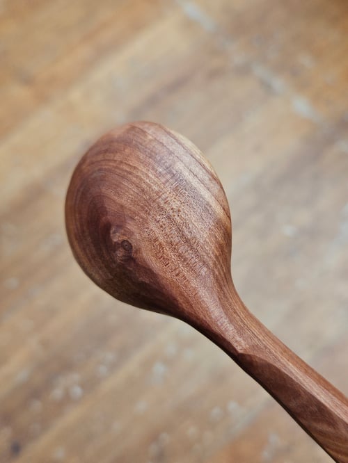 Image of Cherry Ladybeetle Scoop 