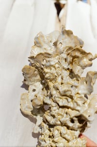 Image 4 of large fae feast candle vessel 