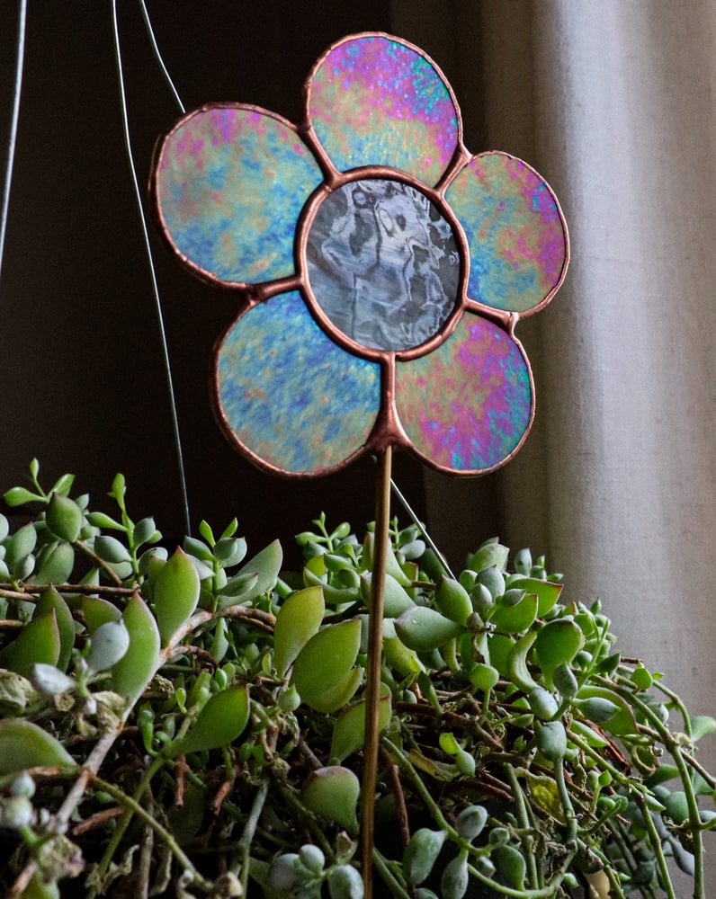 Image of Iridescent purple plant stick