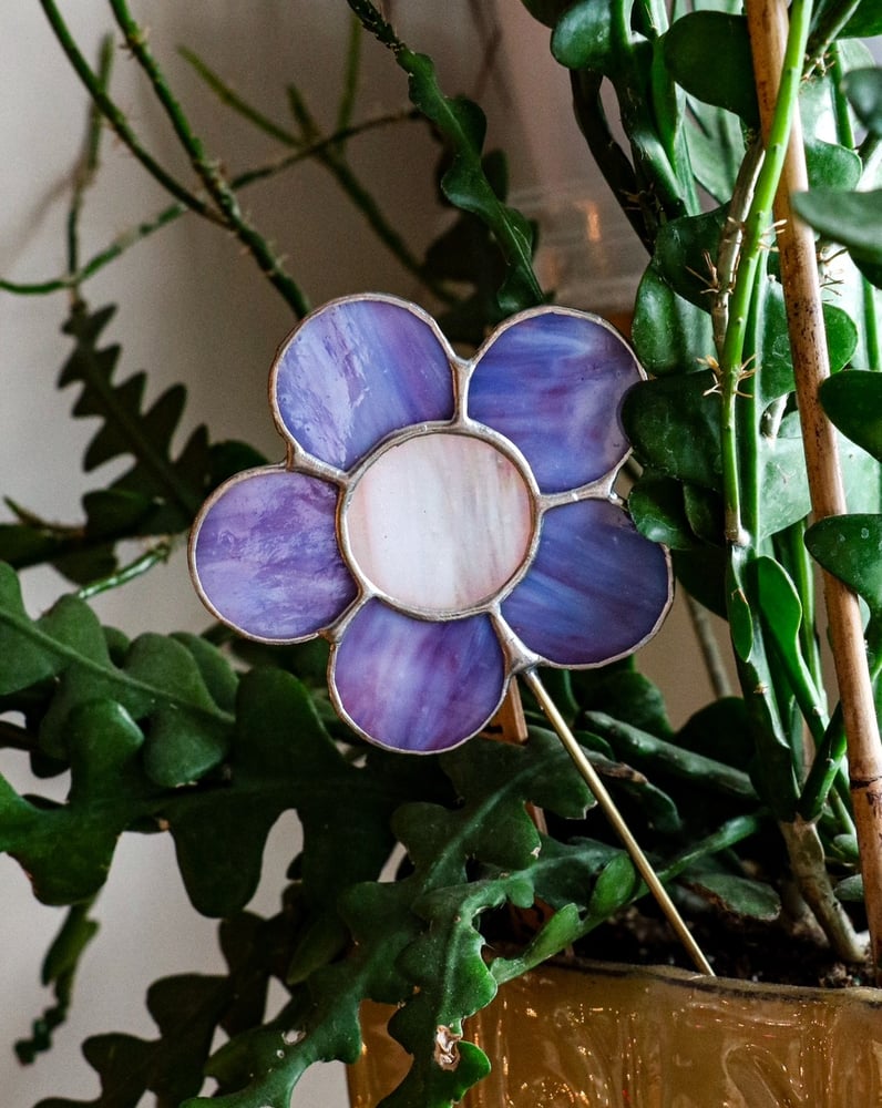 Image of Purple plant stick