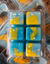 Image 9 of Joyful Day - an Exculsive Rockytop Wax Works custom houseblend fragrance 