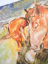 A Softening Presence A4 Risograph Print