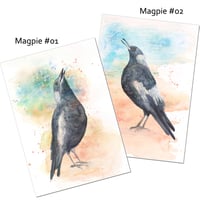 Magpie Song 