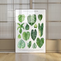 Image 1 of Philodendron Species Poster| Digital Download
