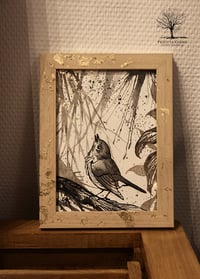 Matin d'hiver : rouge-gorge II