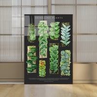 Image 2 of Shingling Plants Poster| Digital Download