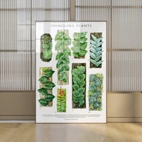 Image 1 of Shingling Plants Poster| Digital Download