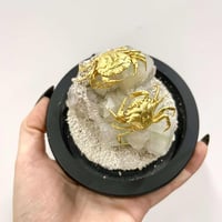 Image 1 of Crab Apophyllite Globe