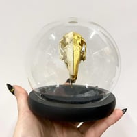 Image 3 of Rabbit Skull Globe