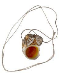 Image 1 of Shell Smiley