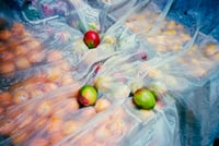 Mangoes