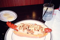 Large Hot Dog