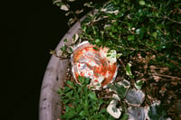 Pasta in Leaves