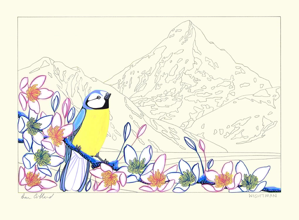 Image of Blue Tit and Frances