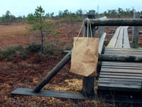 Image 2 of Washable paper tote bag
