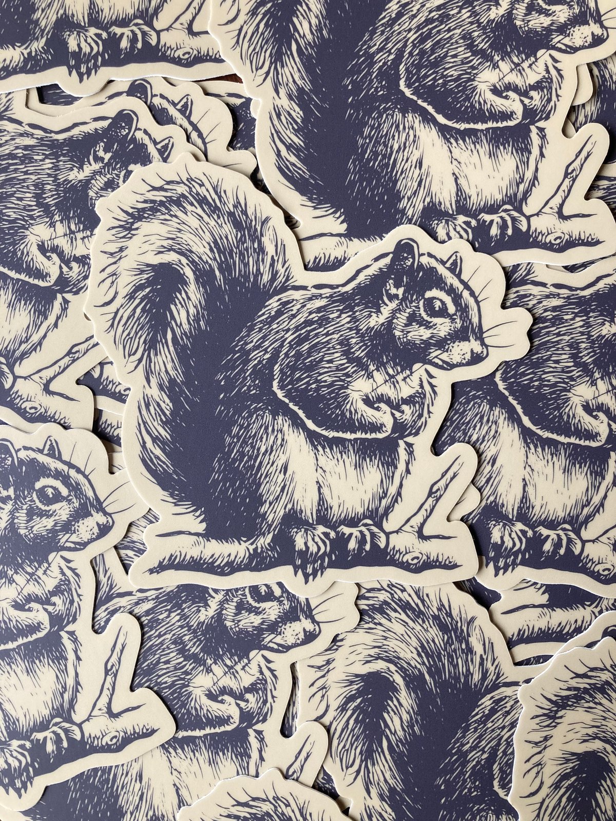 Image of SQUIRREL STICKER