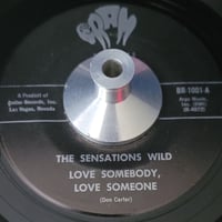 The Sensations Wild - Love Somebody, Love Someone