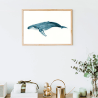 Image 1 of Humpback Whale Watercolor Original Art Fine Art Print