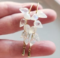 Image 4 of Moonstone Petal Earrings