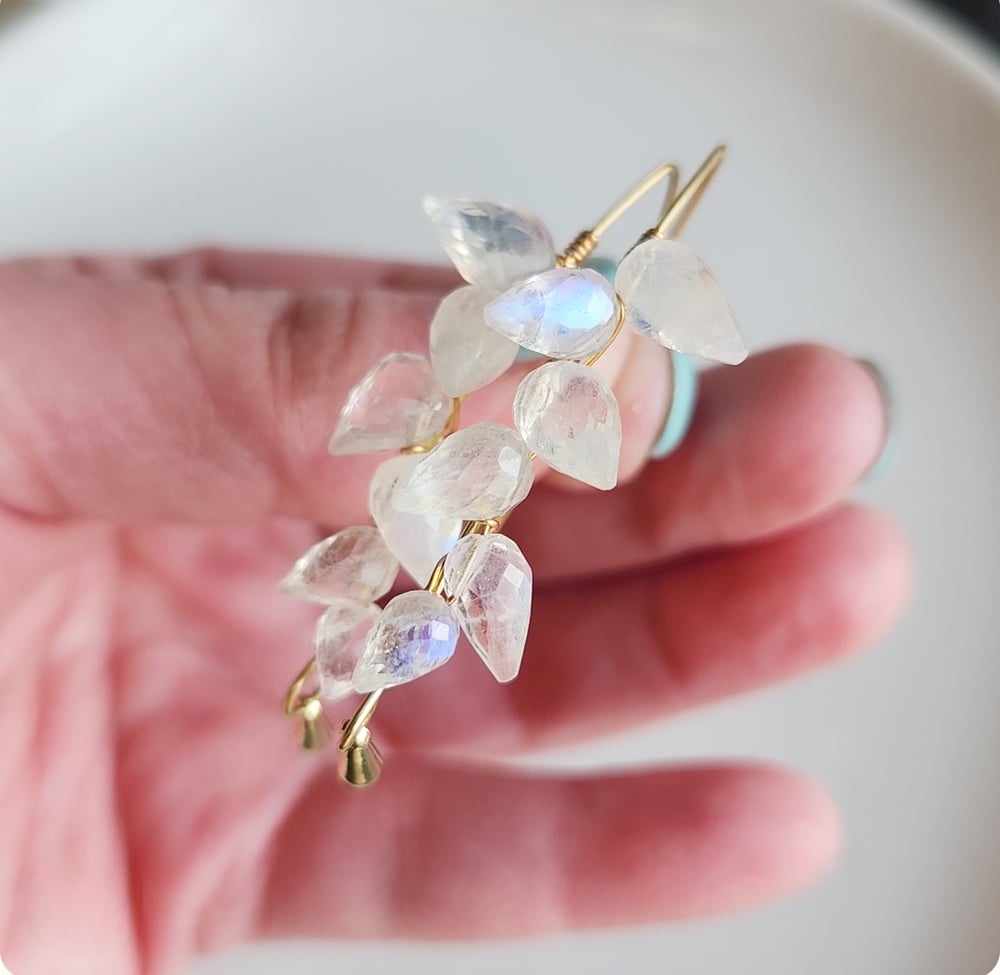 Image of Moonstone Petal Earrings