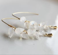 Image 1 of Moonstone Petal Earrings