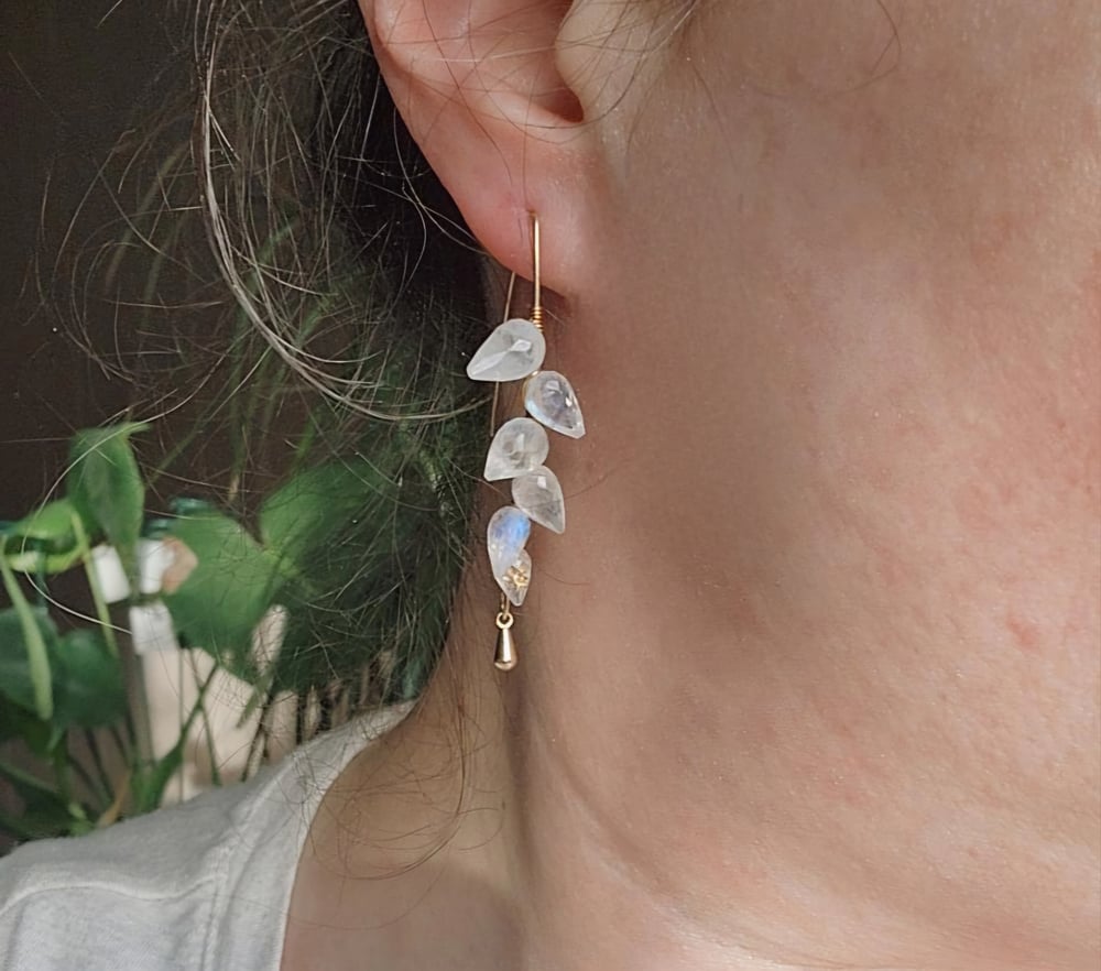Image of Moonstone Petal Earrings