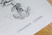 Image 3 of Callidus Canem (Snoopy)