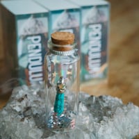 Image 6 of Pendulum - in a Bottle