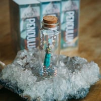 Image 7 of Pendulum - in a Bottle