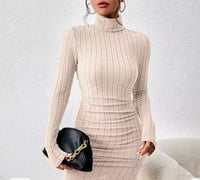 New Solid Dresses Autumn Winter Women Long Sleeves Turtleneck Sexy Bodycon Sheath Mini Dress Club El