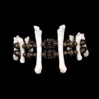 Image 3 of "Dalle" Foot Bone Bracelet