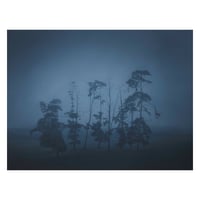 Image 5 of Time Passing