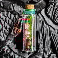 Image 1 of Demon Slayer (Anime) - Message in a Bottle