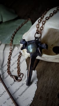 Image 2 of Cat Vertebra Bone and Labradorite Amulet