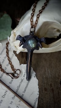 Image 1 of Cat Vertebra Bone and Labradorite Amulet