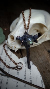 Image 5 of Cat Vertebra Bone and Labradorite Amulet