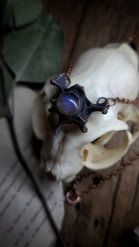 Image 4 of Labradorite and Cat Bone Amulet