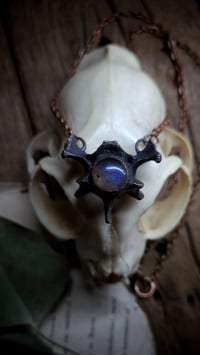 Image 1 of Labradorite and Cat Bone Amulet