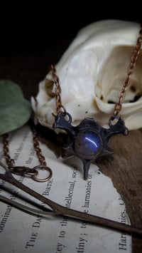 Image 5 of Labradorite and Cat Bone Amulet